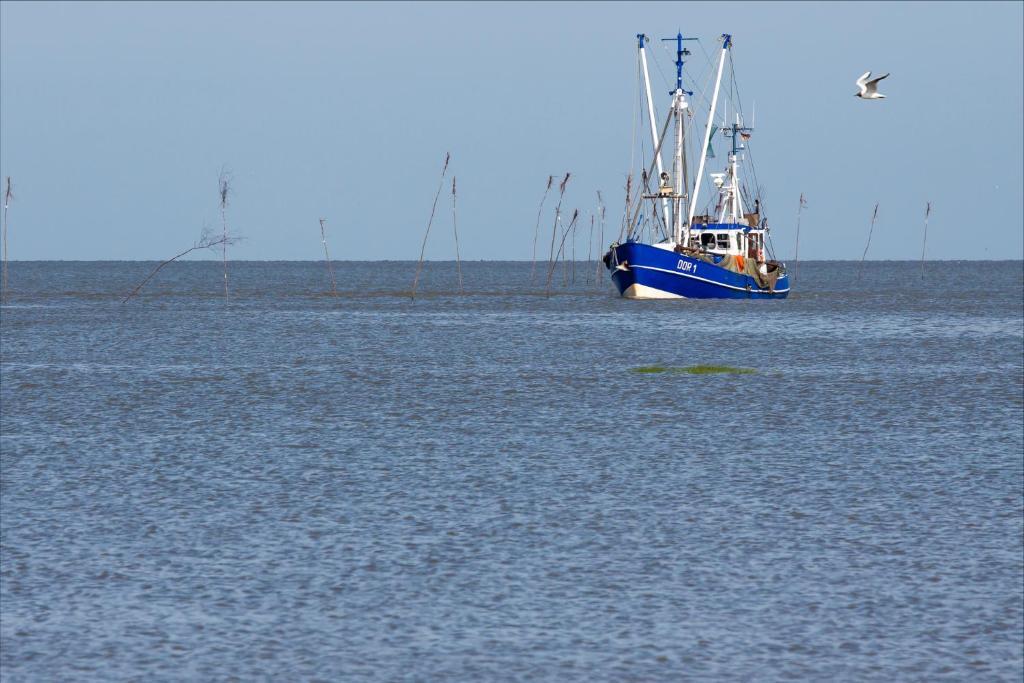 Cuxland-Ferienpark Nordseebad Dorum โดรุม ภายนอก รูปภาพ