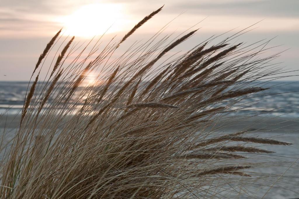 Cuxland-Ferienpark Nordseebad Dorum โดรุม ภายนอก รูปภาพ